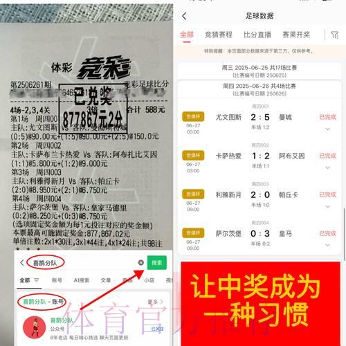 世界杯竞猜平台的风险警示与安全防护指南